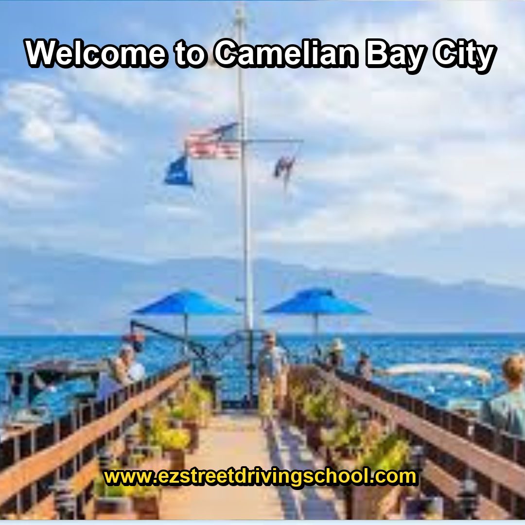 Driving Lessons in Camelian Bay